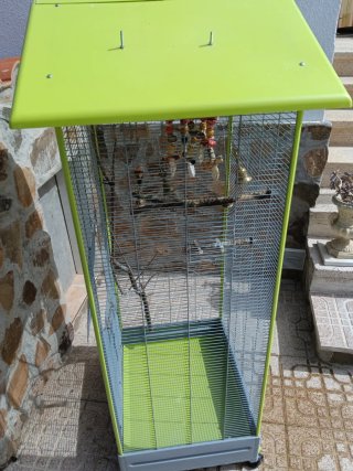 Voladera para pájaros