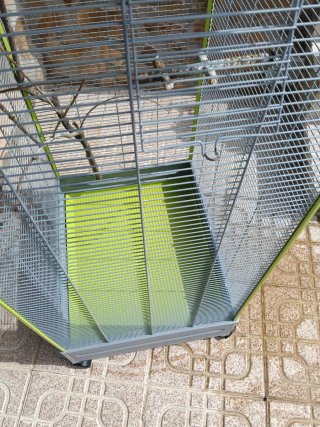 Voladera para pájaros