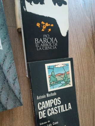 Libros de literatura española e hispanoamericana