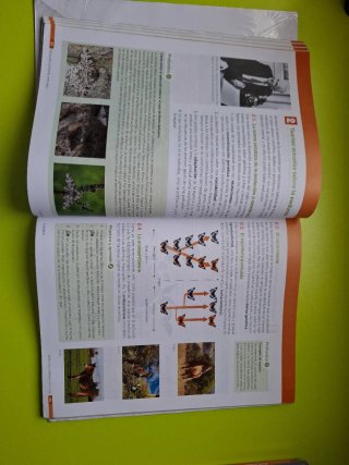 Biología y Geología, 4o ESO.