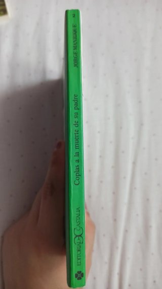 Coplas a la muerte de su padre (Libro)