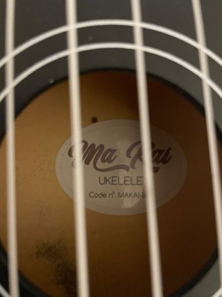 Ukelele Negro con Funda