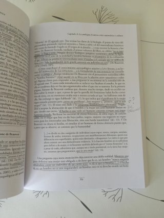 Antropología feminista