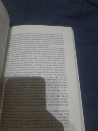 La letra y la voz de la "literatura" medieval