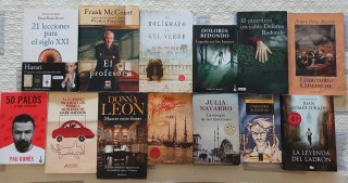 Pack de 13 libros (novelas, best-sellers).