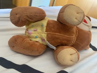 Oso de peluche musical para gatear