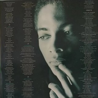 Vinilo LP Terence Trent D'Arby