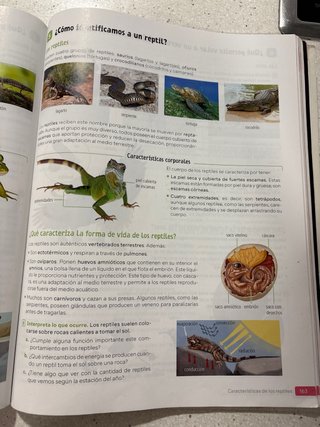 Biología y Geología. 1 Secundaria. Revuela.