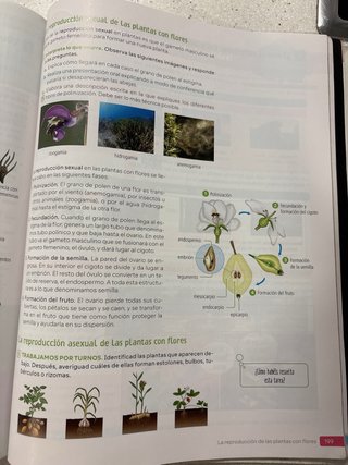Biología y Geología. 1 Secundaria. Revuela.