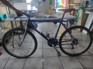Bicicleta Orbea Morada