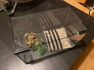 Pecera pequeña con decoración
