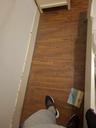 Servicio de limpieza