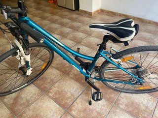 Bicicleta Trek Neko