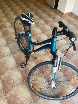 Bicicleta Trek Neko
