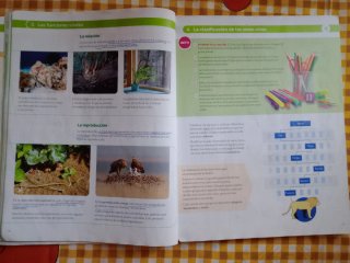 BIOLOGIA Y GEOLOGIA MEC 1ESO CONSTRUYENDO MUNDOS