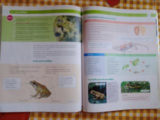 BIOLOGIA Y GEOLOGIA MEC 1ESO CONSTRUYENDO MUNDOS