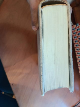 Diccionario de la Lengua Española (19 Edición)