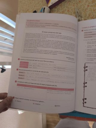 Lengua castellana y literatura, expresión escri...