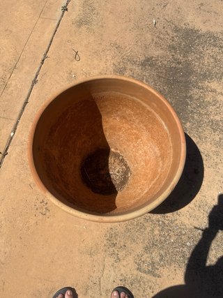 Maceta Barro Grande 43cm Alto x 50cm Diám.