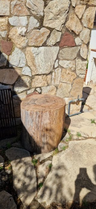 Tronco de pino grande