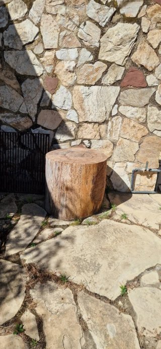Tronco de pino grande