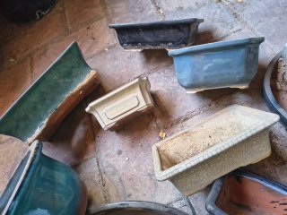 Lote 10 Macetas Bonsái Cerámica y Terracota