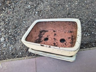 Lote 10 Macetas Bonsái Cerámica y Terracota