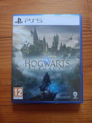 Hogwarts Legacy PS5