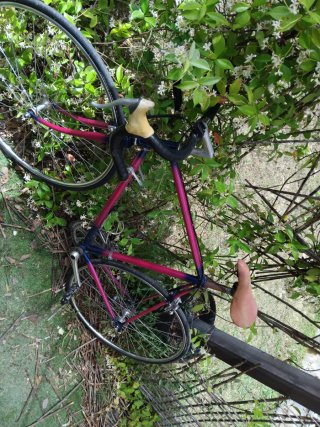 Bicicleta de carretera rosa y azul