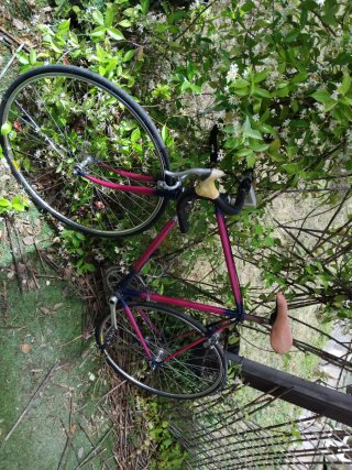 Bicicleta de carretera rosa y azul