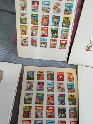 Asterix y Obélix LOTE