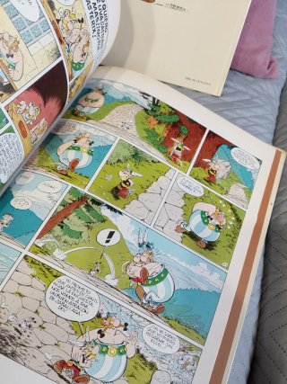 Asterix y Obélix LOTE