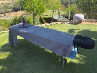 Camilla de masaje ultraligera 5,5kg Meridian table