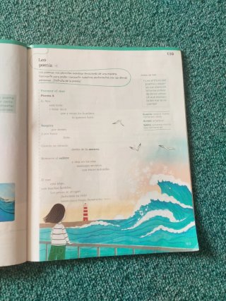 Libros de lengua de 3° de primaria.