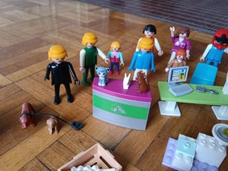 Lote Playmobil figuras y accesorios
