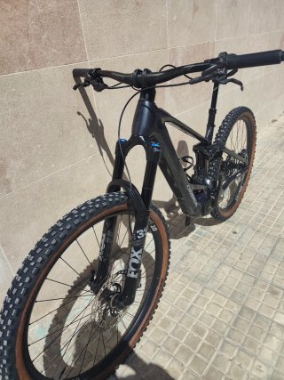 Orbea Wild