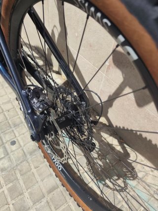 Orbea Wild