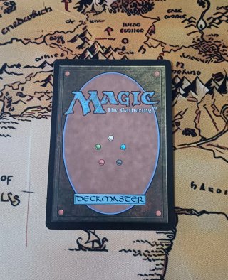 CARTA MAGIC - GLIMPSE OF NATURE
