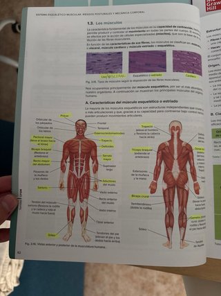 Libros Grado Medio Auxiliar de Enfermería