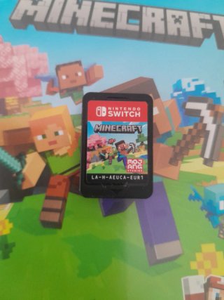 Minecraft Nintendo Switch