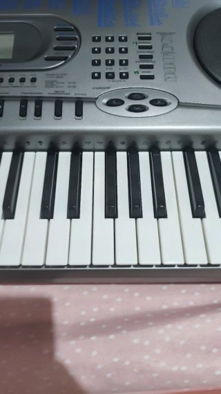 Teclado Casio WK-1800 Profesional