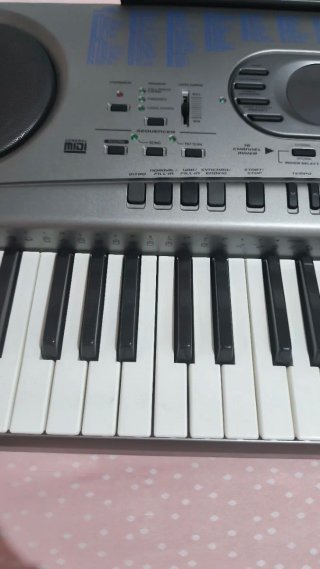 Teclado Casio WK-1800 Profesional