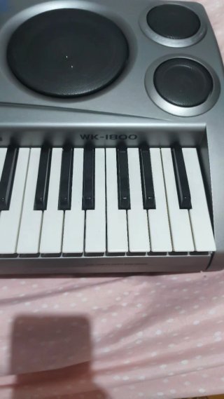 Teclado Casio WK-1800 Profesional