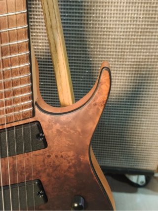 Guitarra Eléctrica 8 Cuerdas G4M529 PRO