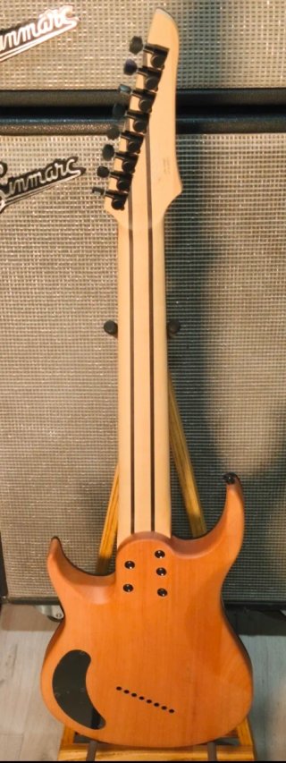 Guitarra Eléctrica 8 Cuerdas G4M529 PRO
