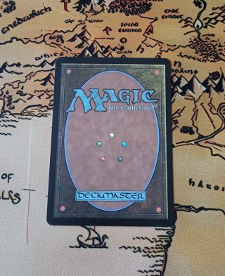 CARTA MAGIC FOIL - HONDEN OF LIFE'S WEB