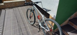 Focus Raven 29 Carbono