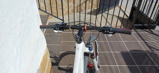 Focus Raven 29 Carbono