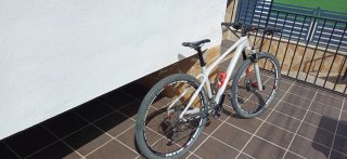 Focus Raven 29 Carbono