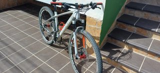 Focus Raven 29 Carbono